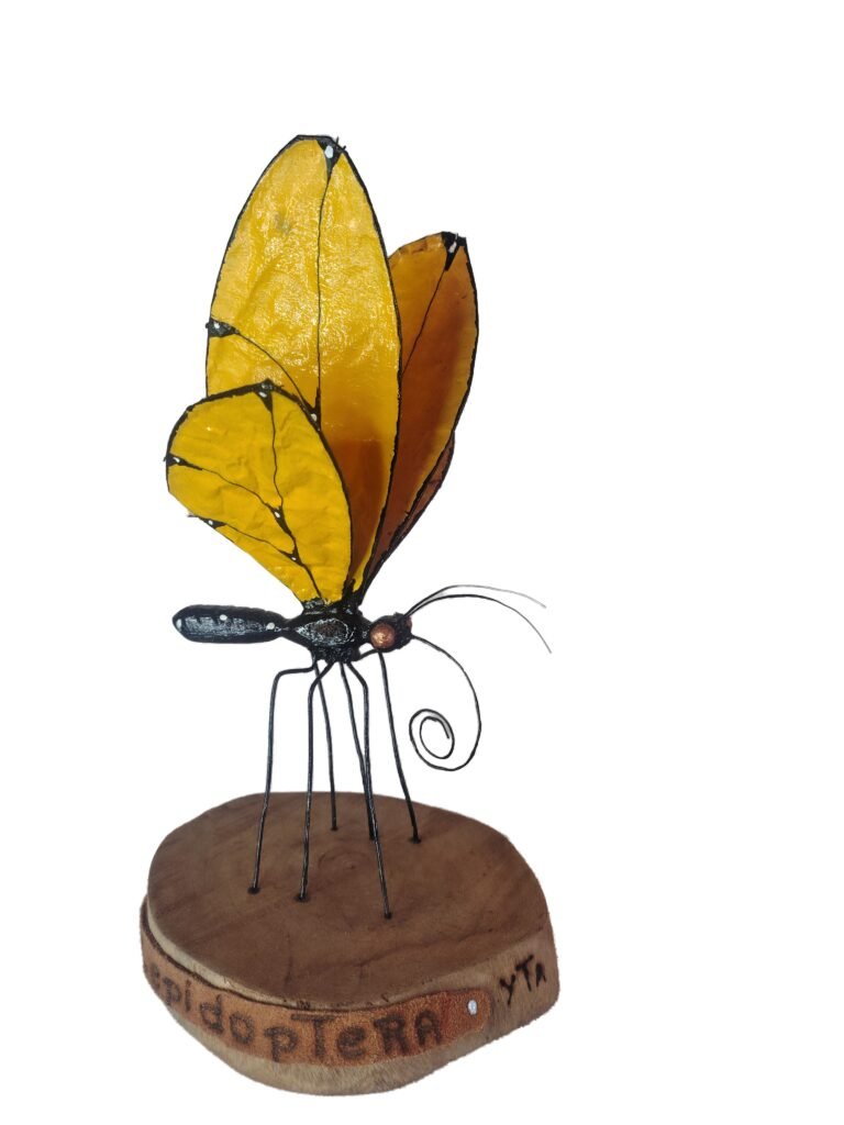 UpCycling - Lepdoptera - Joelson - Yta