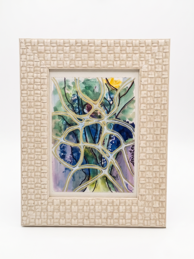 Aquarela - Beija Flor - Lucia Montserrat